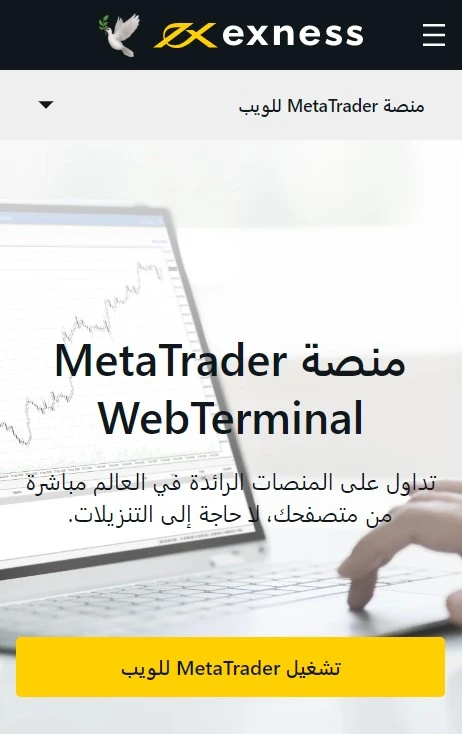 Web Terminal