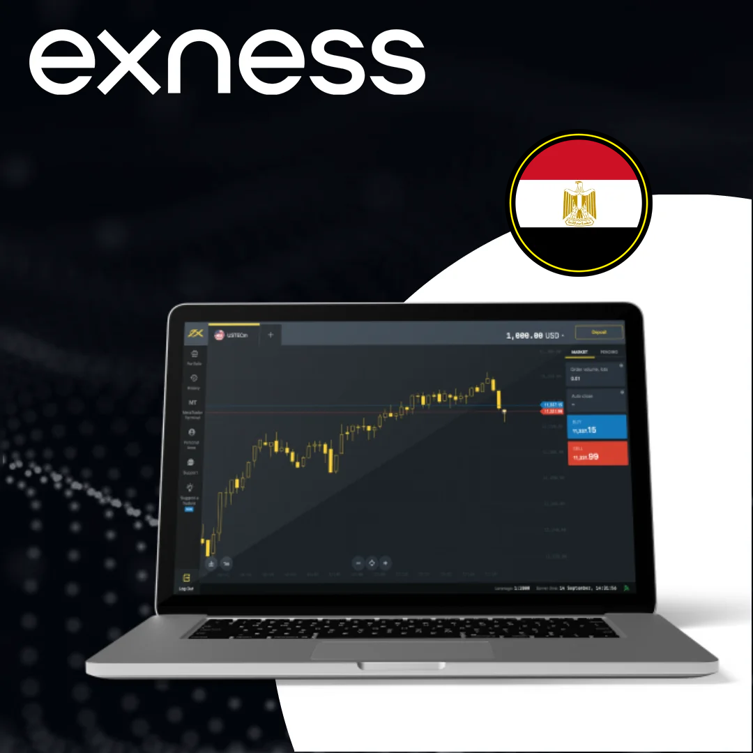 Education and Resources for Egyptian Traders